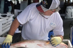 ASA Tournament-10